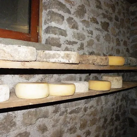 Al Bachero Μπελούνο