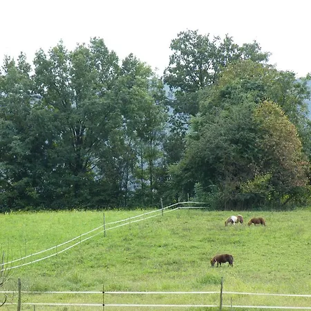 Al Bachero Farmház *