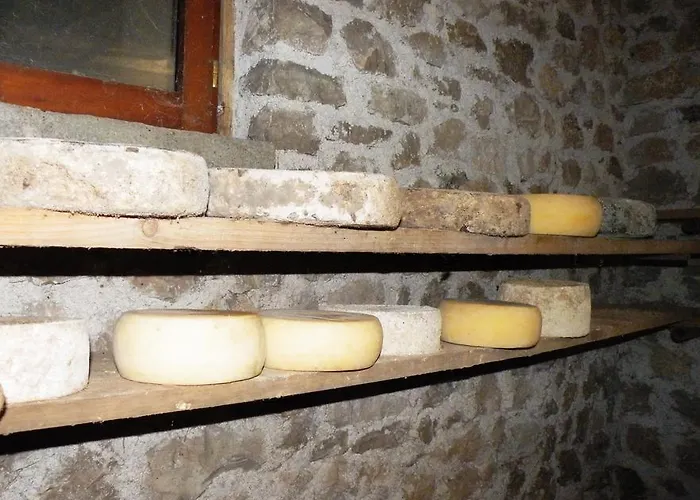 Al Bachero Belluno